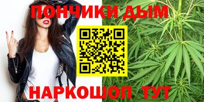 сатива Кингисепп