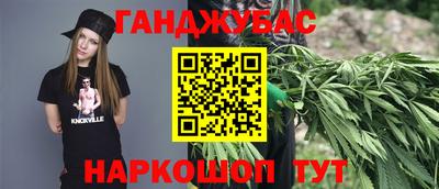 сатива Кингисепп
