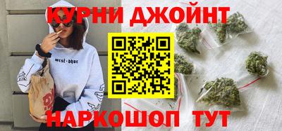 сатива Кингисепп