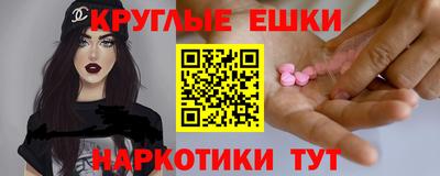 сатива Кингисепп