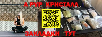 сатива Кингисепп