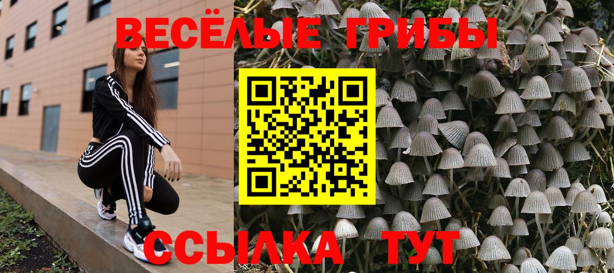 Псилоцибиновые грибы Magic Shrooms  Вход с VPN  Жуковский 